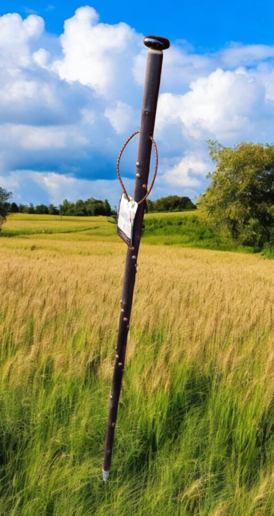 bâton basque de marche terre de bergers châtaignier naturel