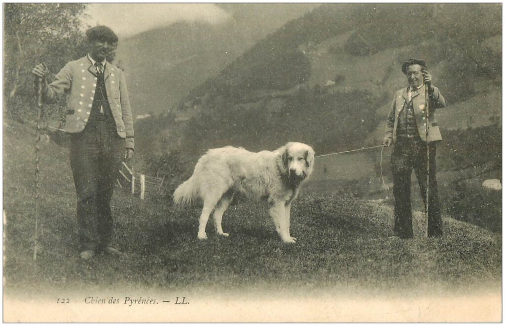 Bergers des Pyrénées leurs bâtons et leur chien